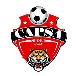 CAPSA ESPORTS logo