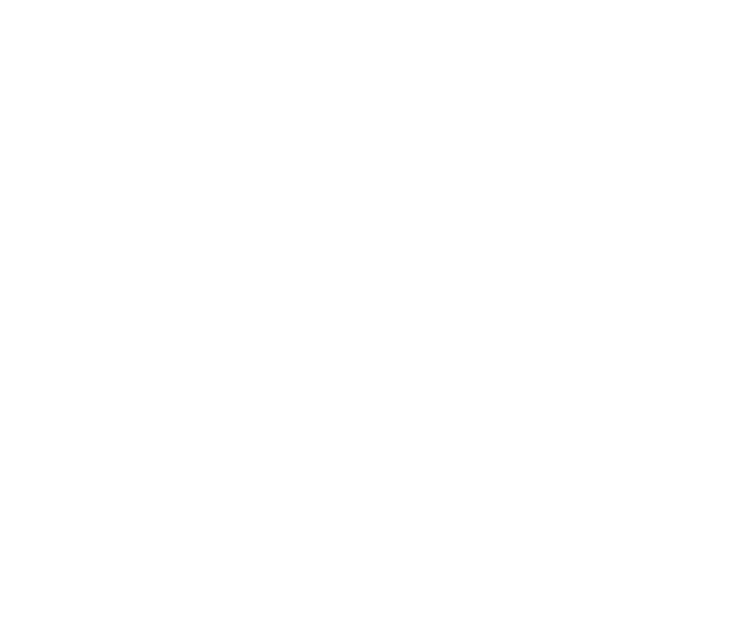 ROYAL CLASS GAMING logo